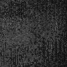 Load image into Gallery viewer, Exquisite Micro Sequin - Black