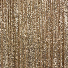 Load image into Gallery viewer, Exquisite Micro Sequin - Light Gold